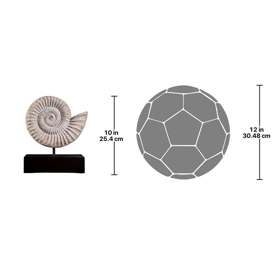 Design Toscano Ammonite Fossil Sculpture on Museum Mount - Multi-Color