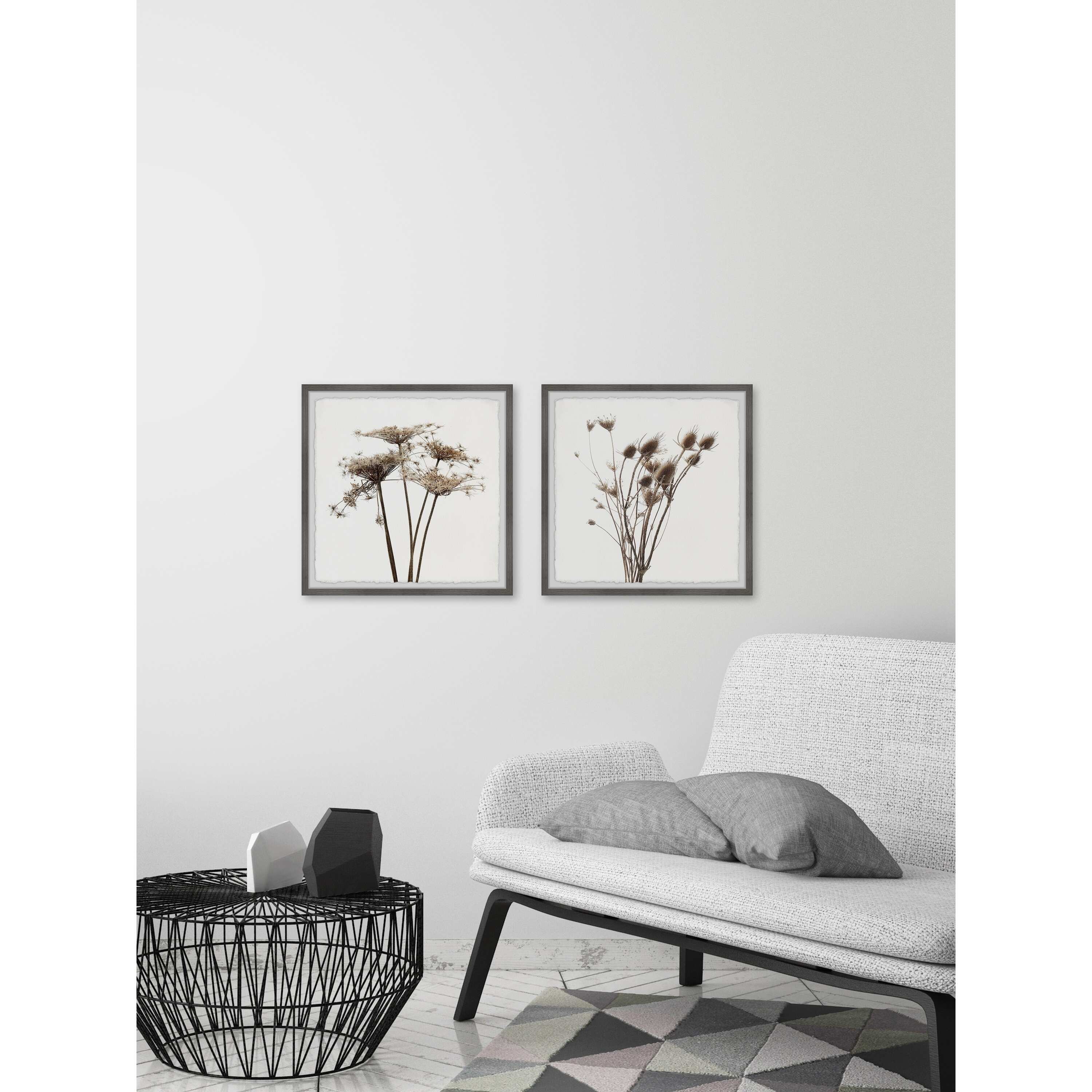 Dried Out Dandelion Diptych