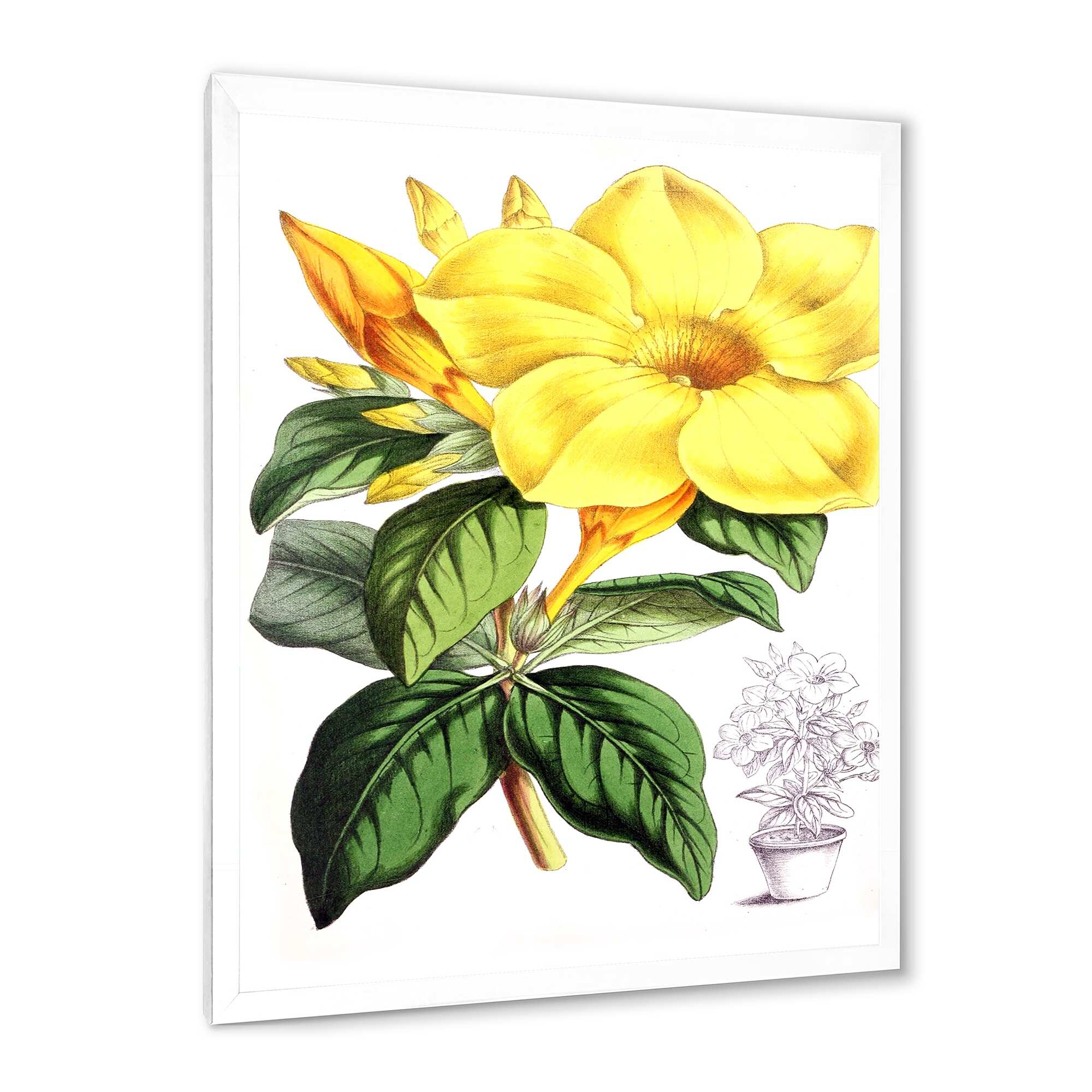 Designart "Tropical Yellow Flowers With Green Leaves II" Traditional Framed Art Print