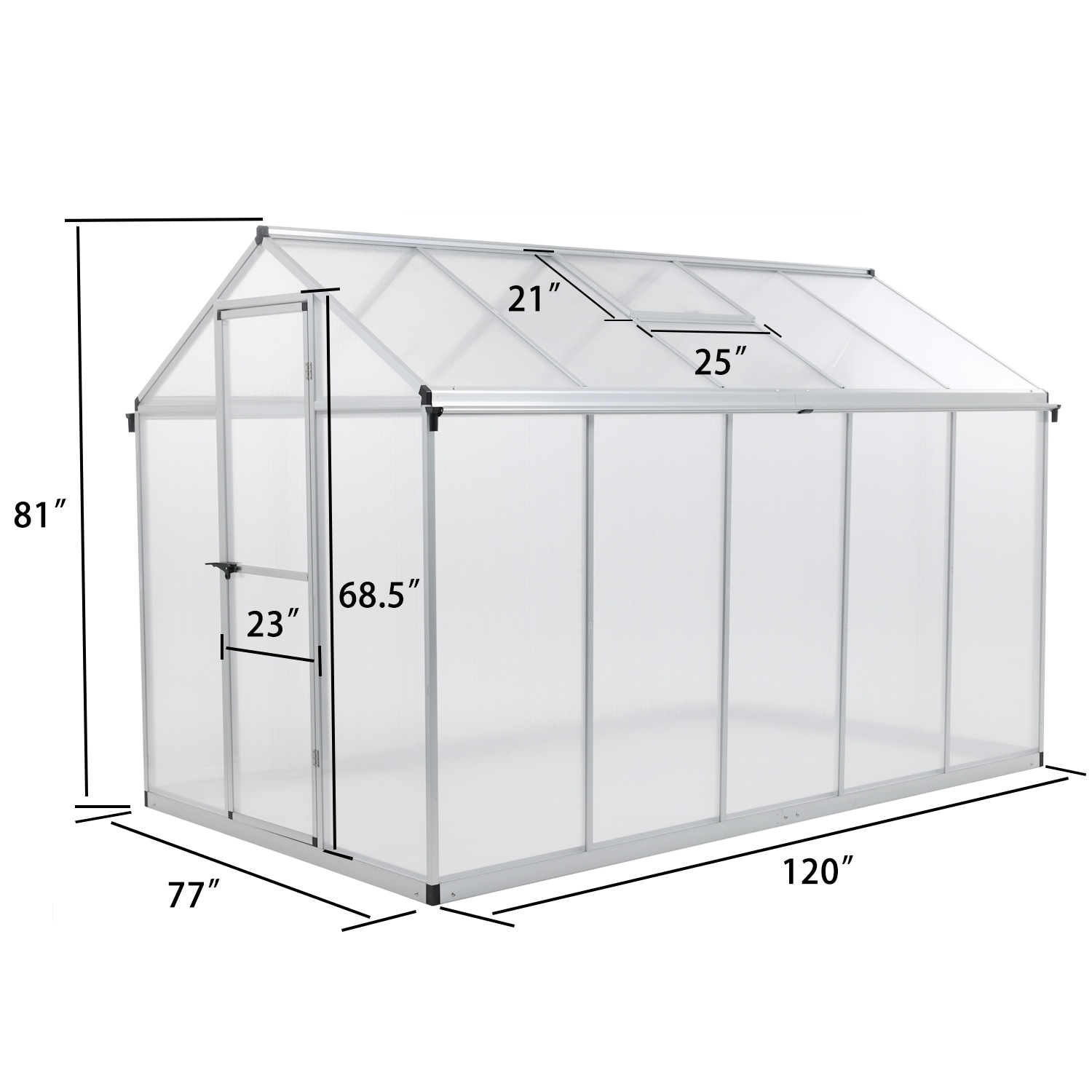Aoodor 6' x 10' Walk-in Greenhouse Polycarbonate Panel Hobby Greenhouses