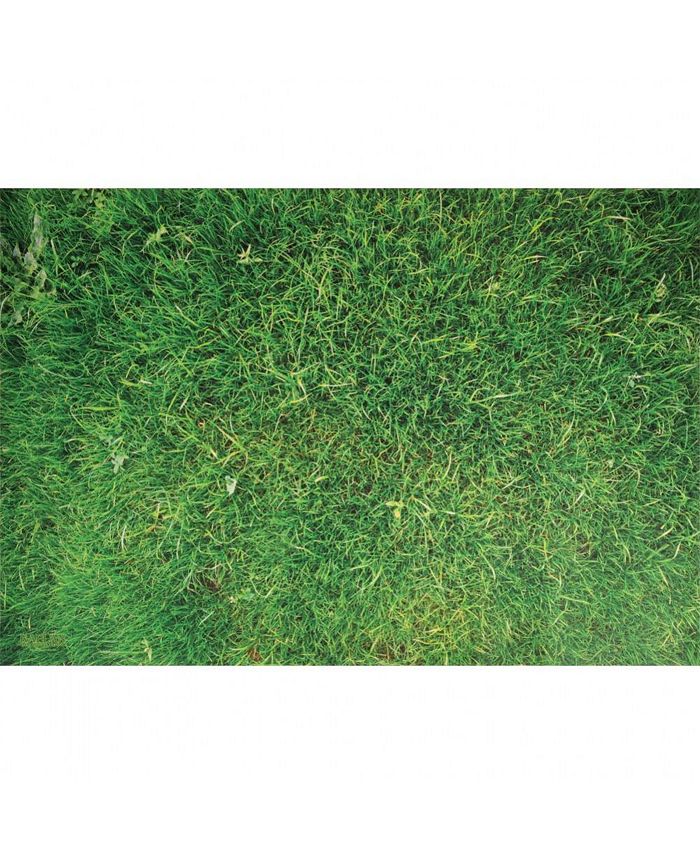 Kaplan Early Learning STEM Play Mat - Grass