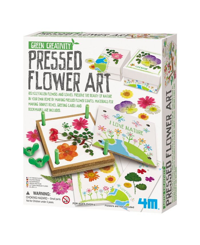 4M Green Creativity Pressed Flower Art Kit