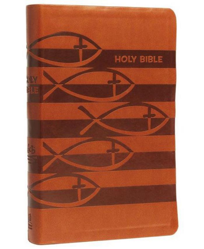 Barnes & Noble ICB, Holy Bible, Leathersoft, Brown: International Children's Bible by Thomas Nelson