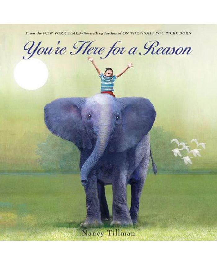 Barnes & Noble You're Here for a Reason by Nancy Tillman