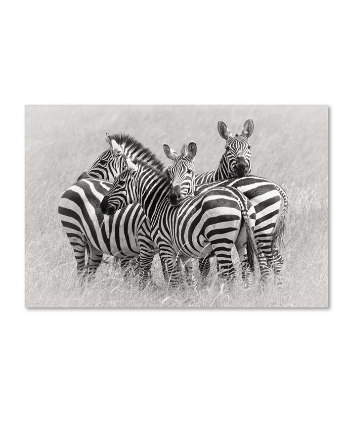 Trademark Global Kirill Trubitsyn 'Zebras' Canvas Art - 24" x 16" x 2"