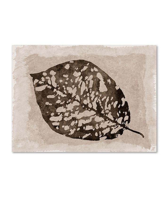 Trademark Global Cora Niele 'Sepia Leaf' Canvas Art - 24" x 18" x 2"