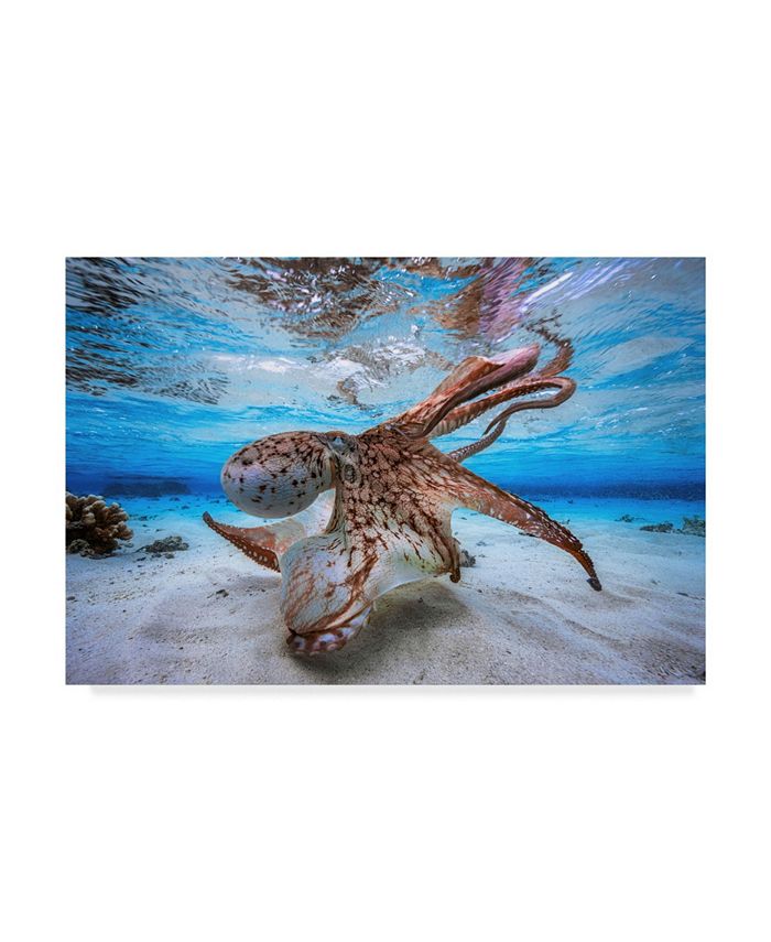 Trademark Global Barathieu Gabriel Dancing Octopus Canvas Art - 15" x 20"