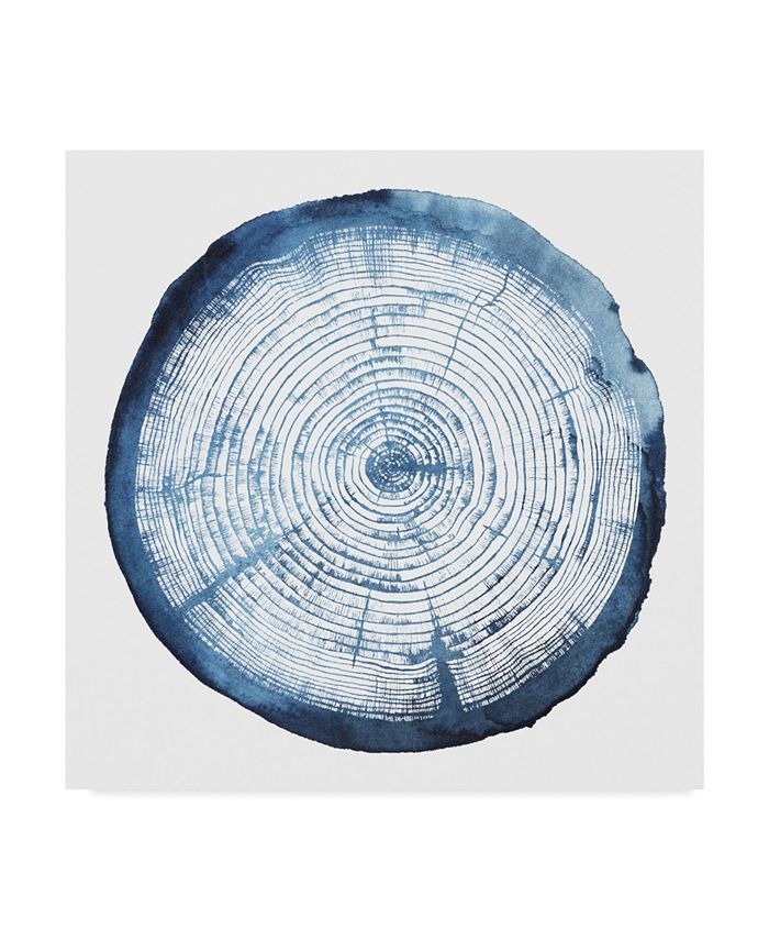 Trademark Global Grace Popp Tree Ring Overlay I Canvas Art - 15" x 20"