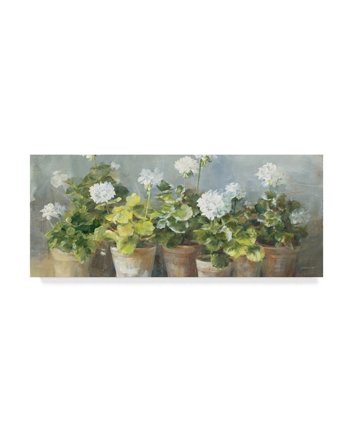 Trademark Global Danhui Nai White Geraniums V2 Canvas Art - 37" x 49"