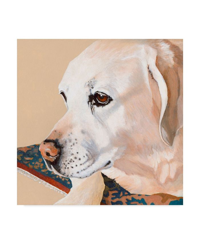 Trademark Global Dlynn Roll Dlynns Dogs Shell Canvas Art - 20" x 25"