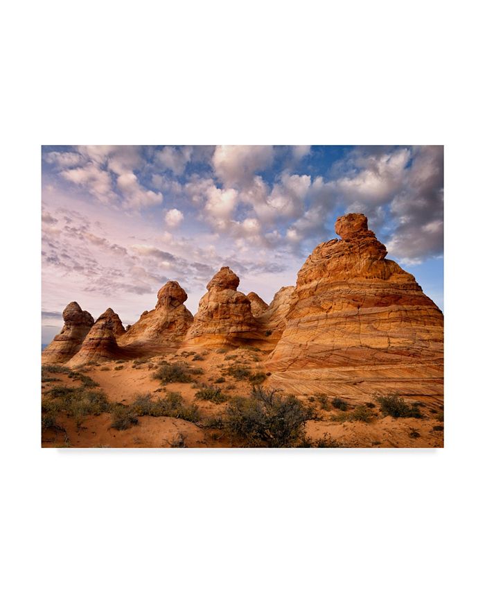 Trademark Global David Drost Arizona Peaks I Canvas Art - 15" x 20"