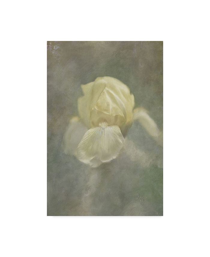 Trademark Global Lois Bryan Pale Misty Iris Canvas Art - 20" x 25"