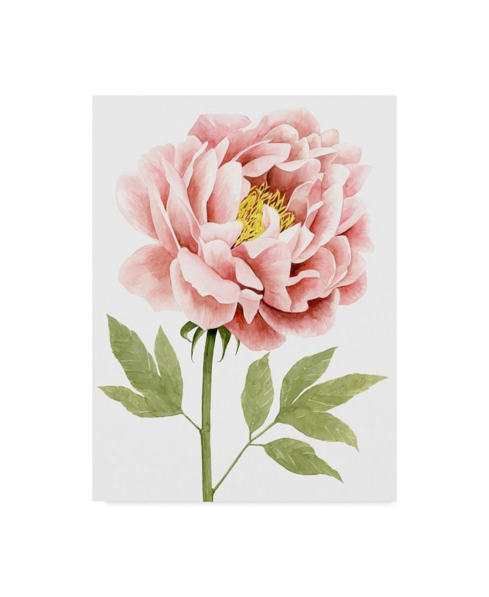 Trademark Global Grace Popp Watercolor Peony I Canvas Art - 20" x 25"