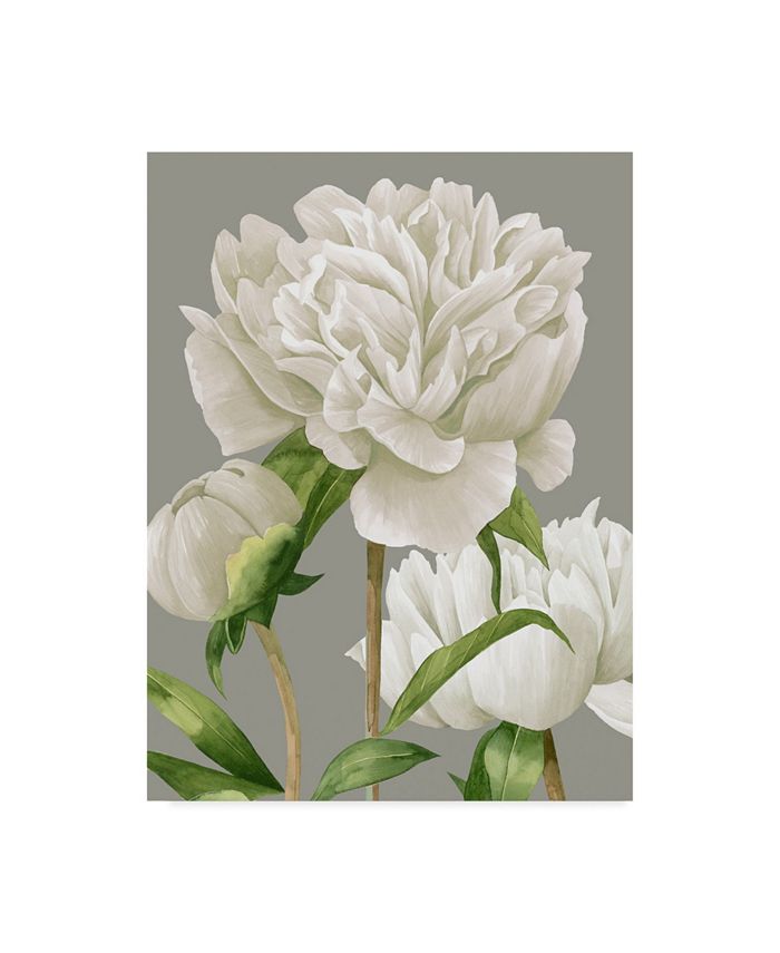 Trademark Global Grace Popp White Peonies II Canvas Art - 37" x 49"