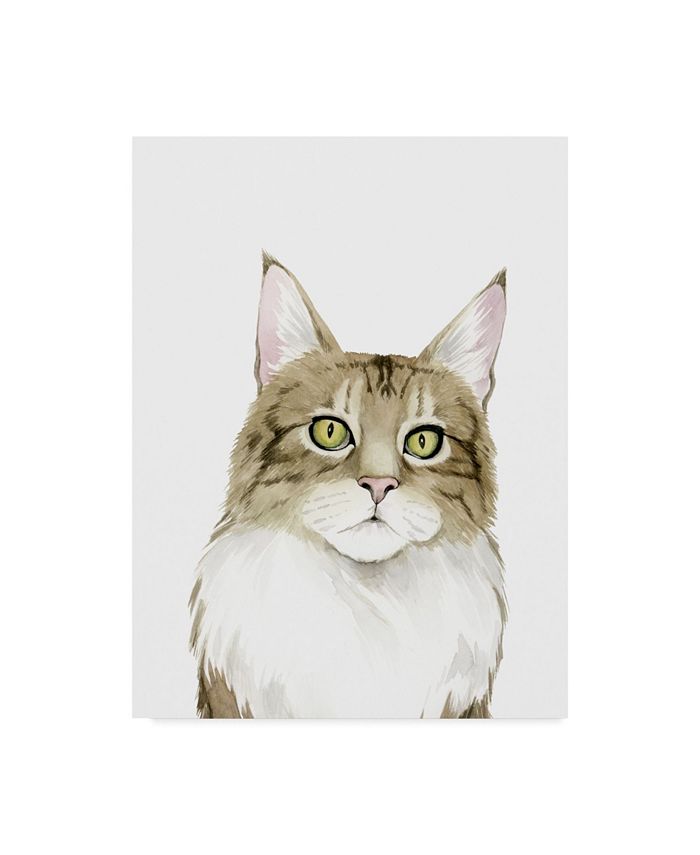 Trademark Global Grace Popp Cat Portrait IV Canvas Art - 20" x 25"