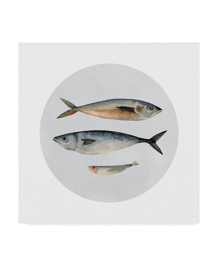 Trademark Global Emma Scarvey Three Fish I Canvas Art - 20" x 25"