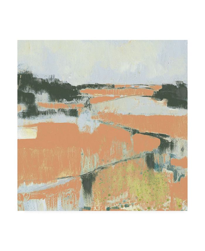 Trademark Global Jennifer Goldberger Coral Fields I Canvas Art - 27" x 33"