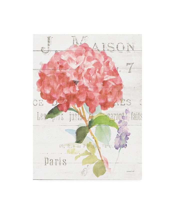 Trademark Global Danhui Nai Maison Des Fleurs VI Canvas Art - 20" x 25"