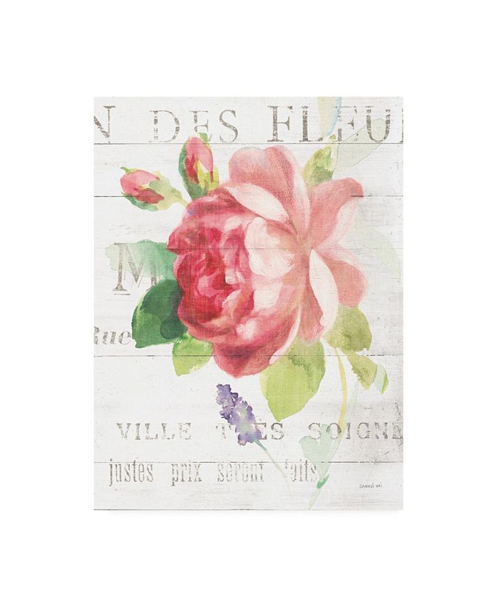 Trademark Global Danhui Nai Maison Des Fleurs VIII Canvas Art - 15" x 20"