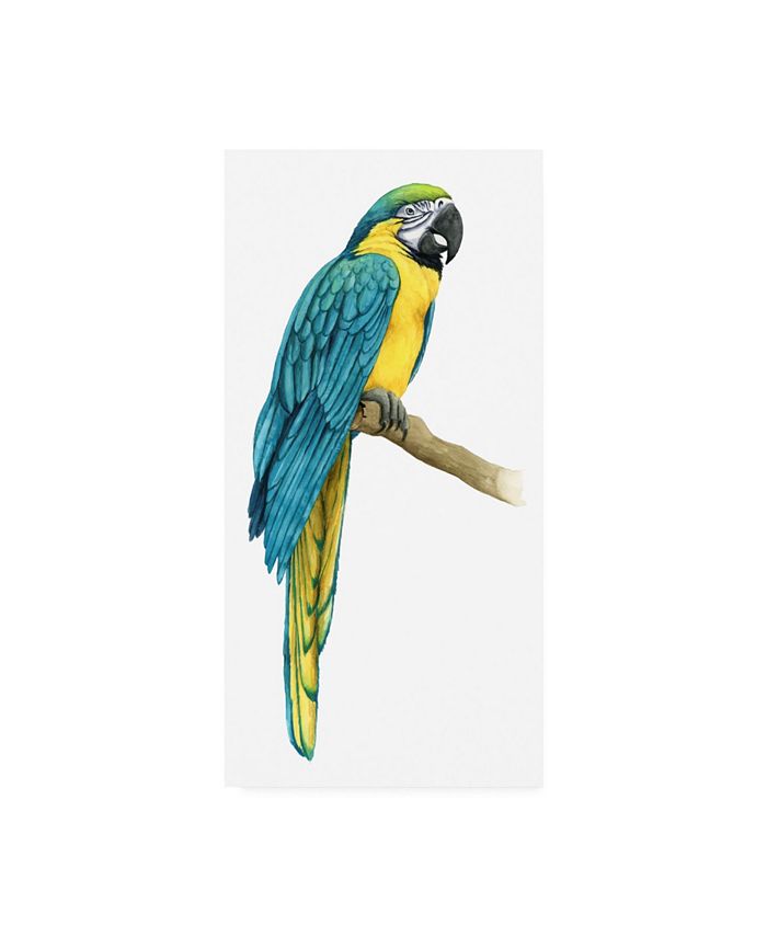 Trademark Global Grace Popp Teal Macaw I Canvas Art - 15" x 20"