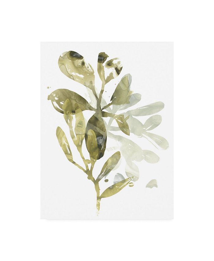 Trademark Global June Erica Vess Lichen and Leaves I Canvas Art - 20" x 25"