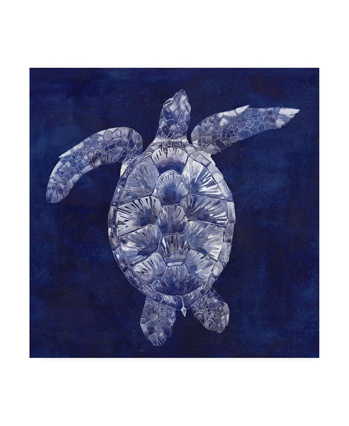 Trademark Global Grace Popp Sea Turtle Shadow II Canvas Art - 15" x 20"