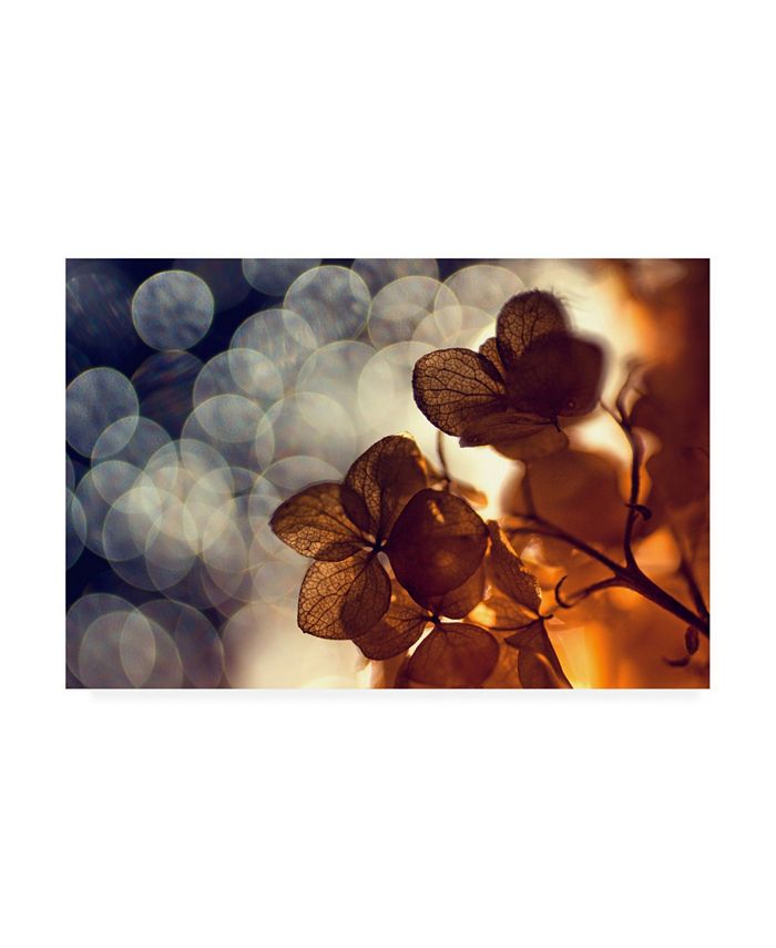 Trademark Global Dimitar Lazarov Autumn Leaves Macro Canvas Art - 15" x 20"