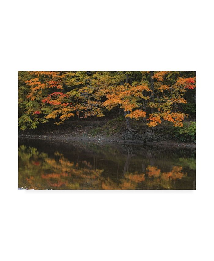 Trademark Global Kurt Shaffer Autumn Reflected Canvas Art - 20" x 25"