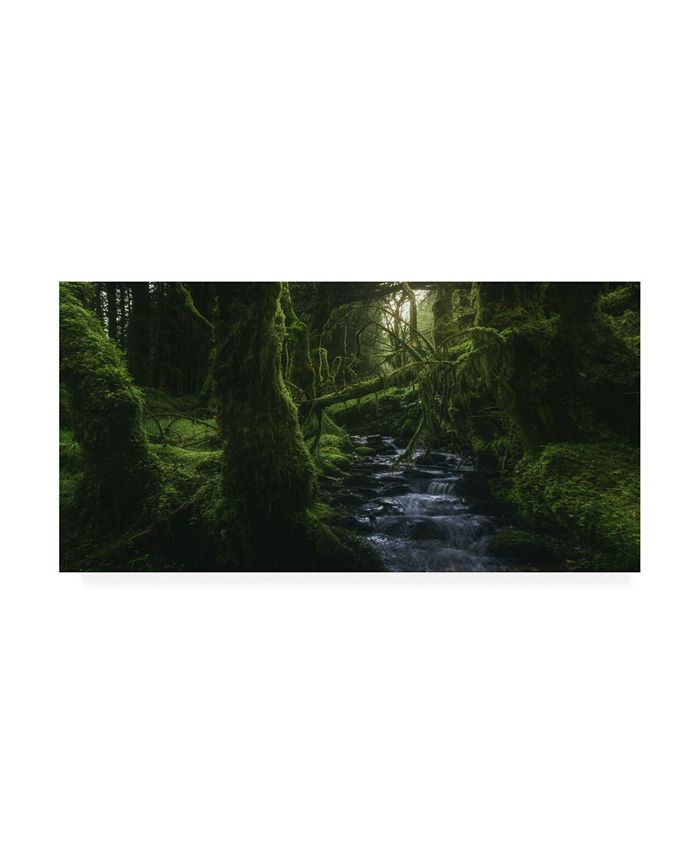 Trademark Global Javier De La Hidden Wood Canvas Art - 20" x 25"