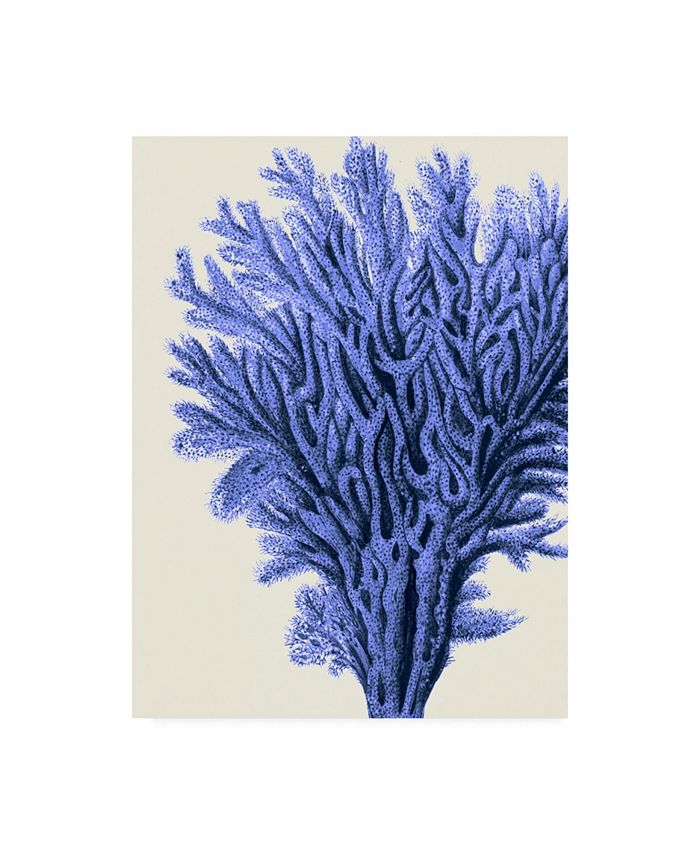 Trademark Global Fab Funky Blue Corals 2 a Canvas Art - 36.5" x 48"