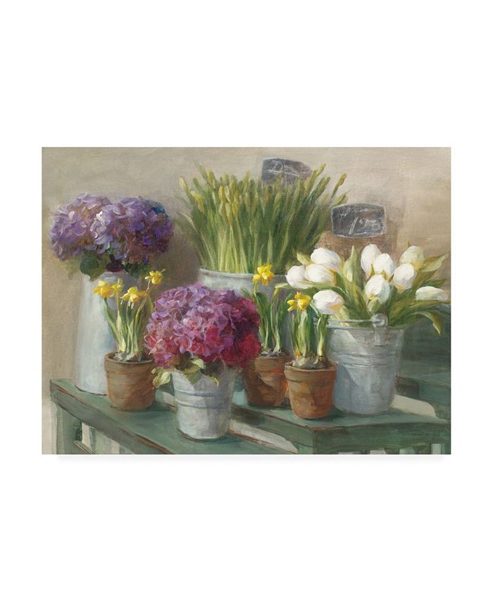 Trademark Global Danhui Nai Les Fleurs Printemps Canvas Art - 27" x 33.5"