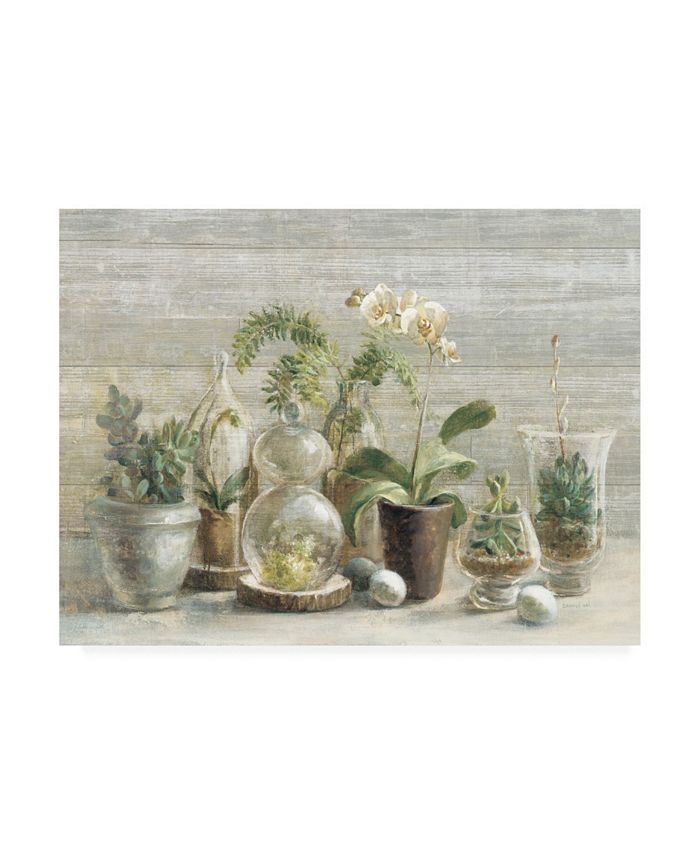 Trademark Global Danhui Nai Greenhouse Orchids on Wood Canvas Art - 15.5" x 21"