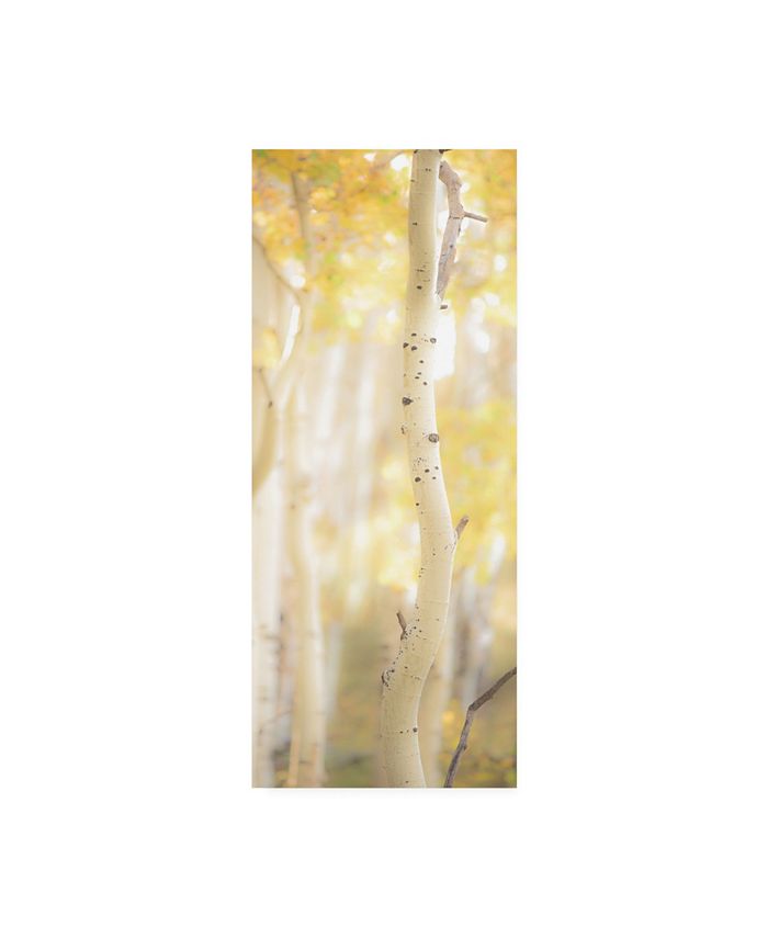 Trademark Global Dan Ballard Yellow Birch 3 Canvas Art - 15.5" x 21"