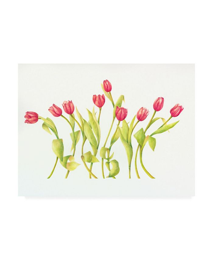Trademark Global Deborah Kopka Nine Tulips Twirling Canvas Art - 19.5" x 26"