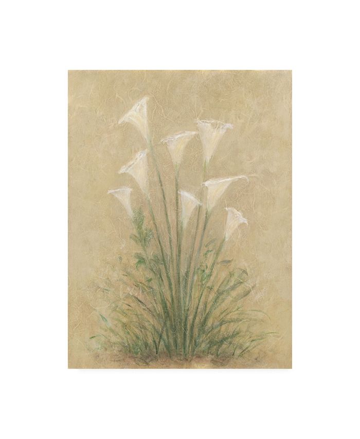 Trademark Global Debra Lake White Lilies on Parchment Canvas Art - 27" x 33.5"