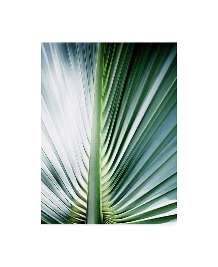 Trademark Global Incado Close up III Tropic Canvas Art - 27" x 33.5"