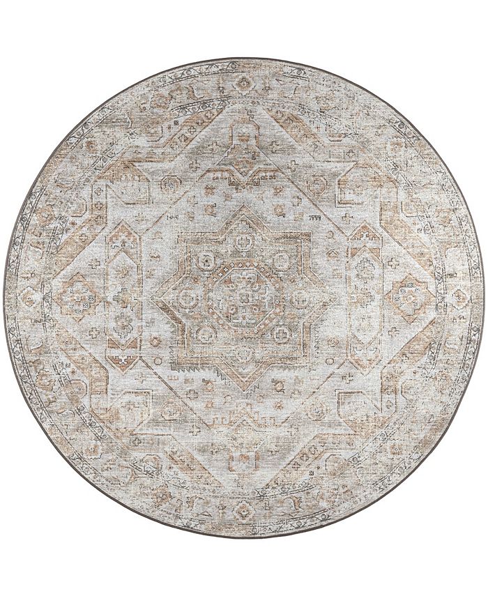 D Style Basilic BAS5 6' x 6' Round Area Rug