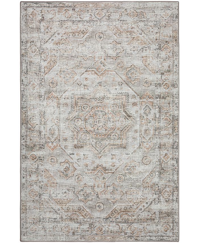 D Style Basilic BAS5 3' x 5' Area Rug