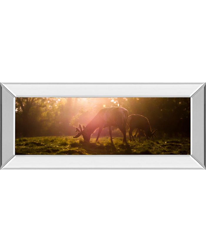 Classy Art Morning Haze by Joe Reynolds Mirror Framed Photo Print Wall Art - 18" x 42"