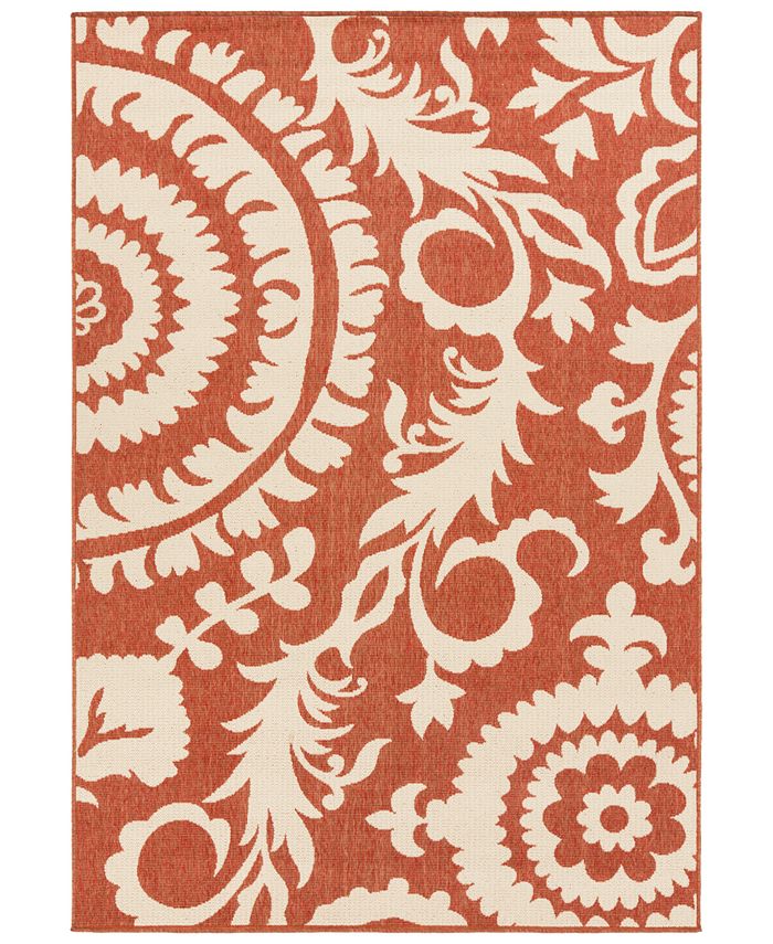 Surya Alfresco ALF-9613 Rust 6' x 9' Area Rug, Indoor/Outdoor