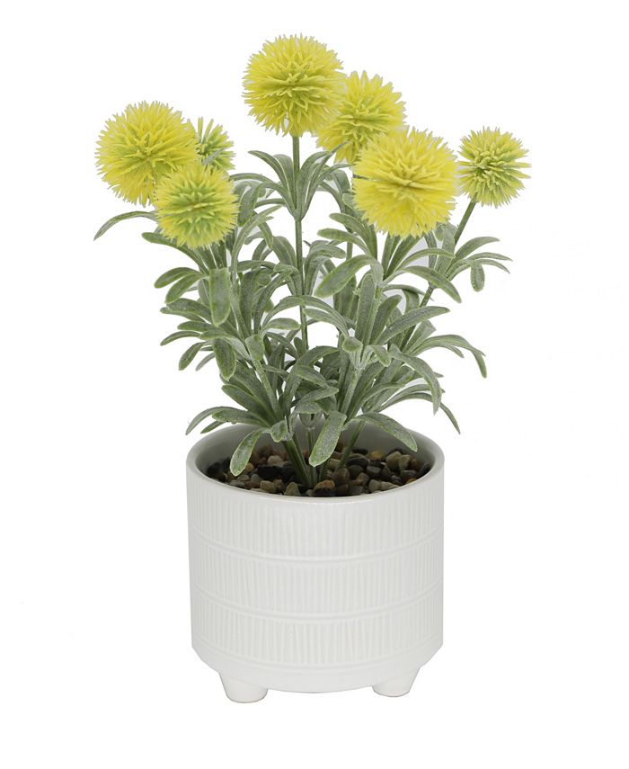 Flora Bunda 10.5" Pom Pom in 5.13" H Ceramic Footed Ceramic Pot