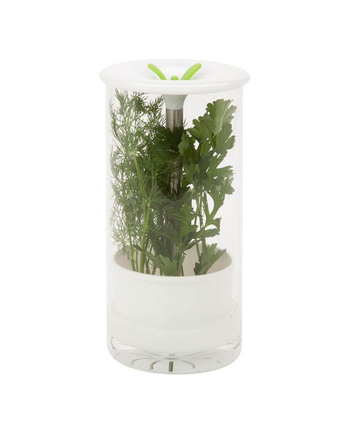 Honey Can Do Glass Herb Preserver