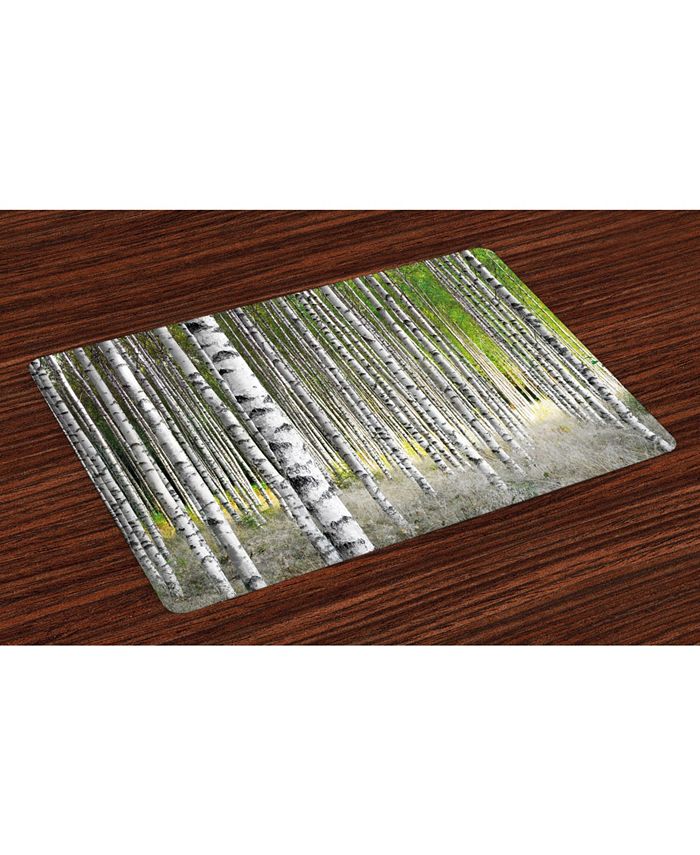 Ambesonne Birch Tree Place Mats, Set of 4