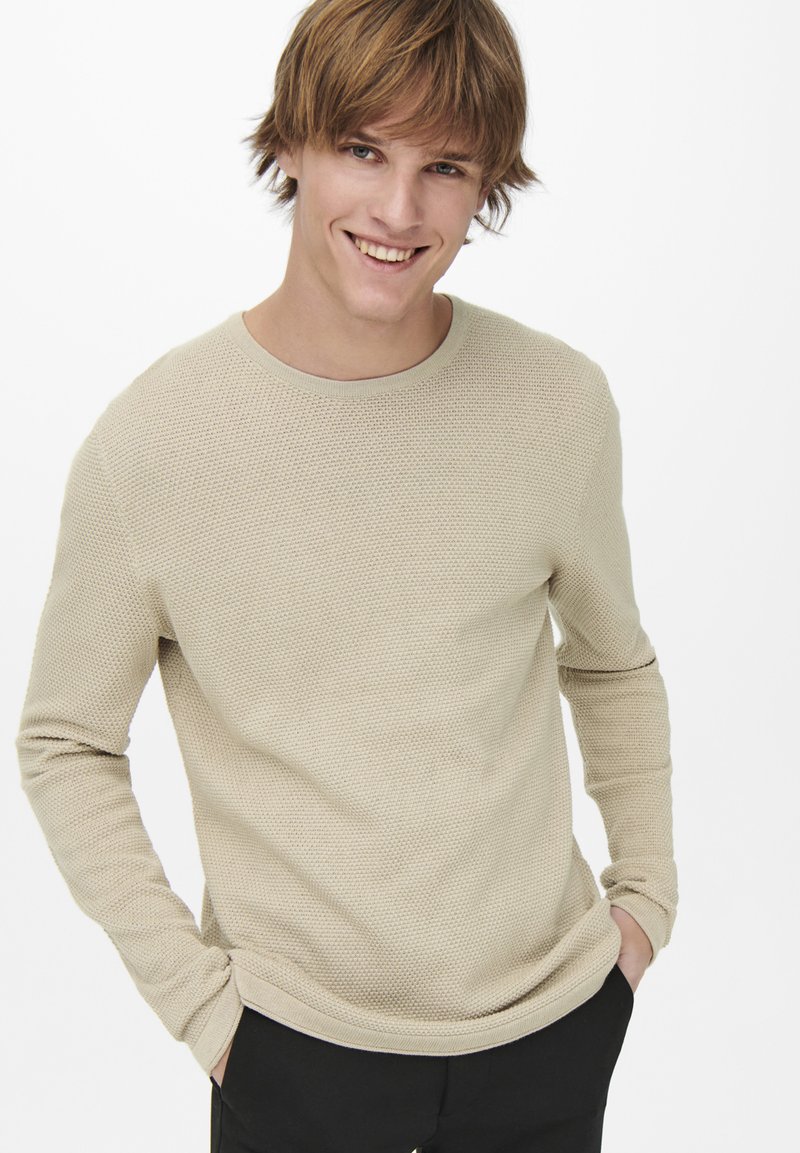 Only & Sons ONSPANTER CREW - Strickpullover